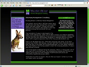 MarketWise Veterinary Management